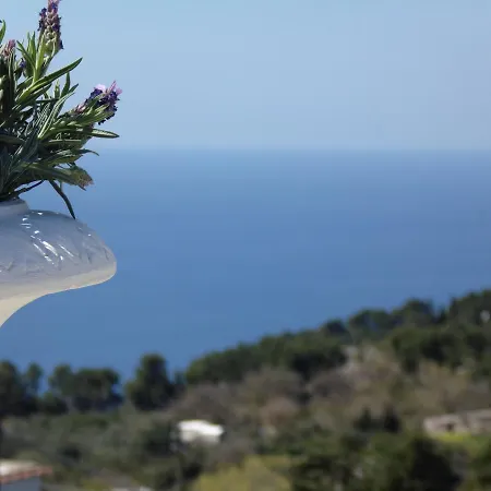 Mimosa אתר נופש אנה קאפרי
