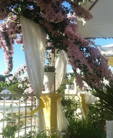 Mimosa אנה קאפרי
