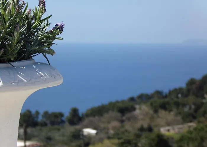 Mimosa Resort Anacapri (Isola di Capri)