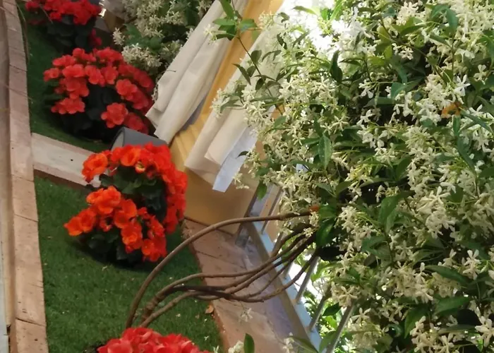 Resort Mimosa Anacapri (Isola di Capri)