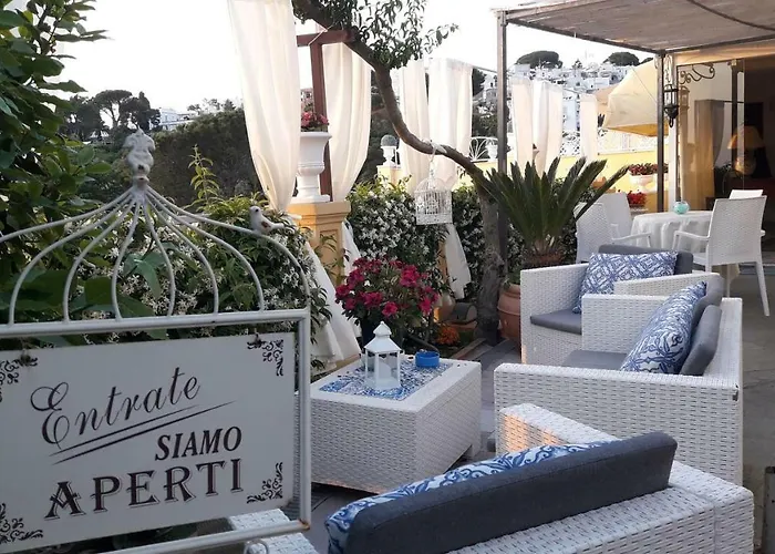 Mimosa Anacapri (Isola di Capri)