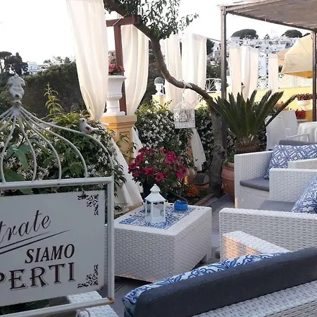 Mimosa Anacapri (Isola di Capri)