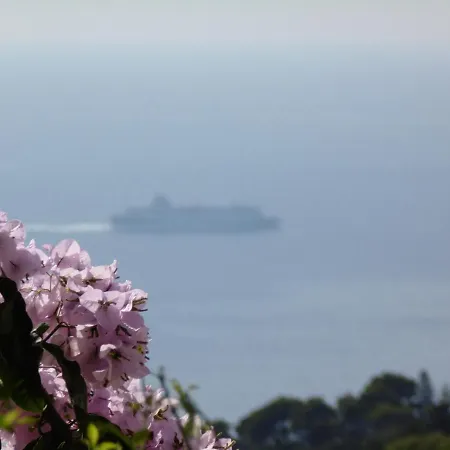 Mimosa Resort Anacapri (Isola di Capri)