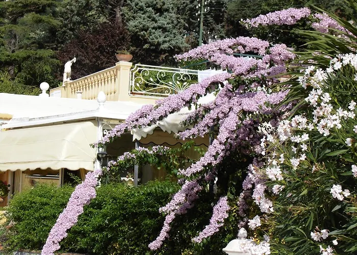 Mimosa אתר נופש