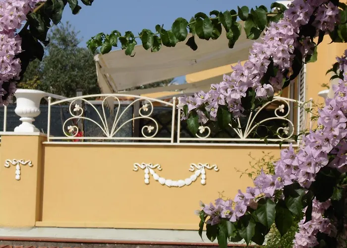 Mimosa 3* أناكابْري