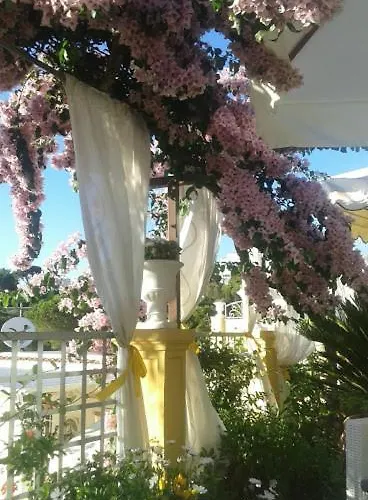 Mimosa Anacapri (Isola di Capri)