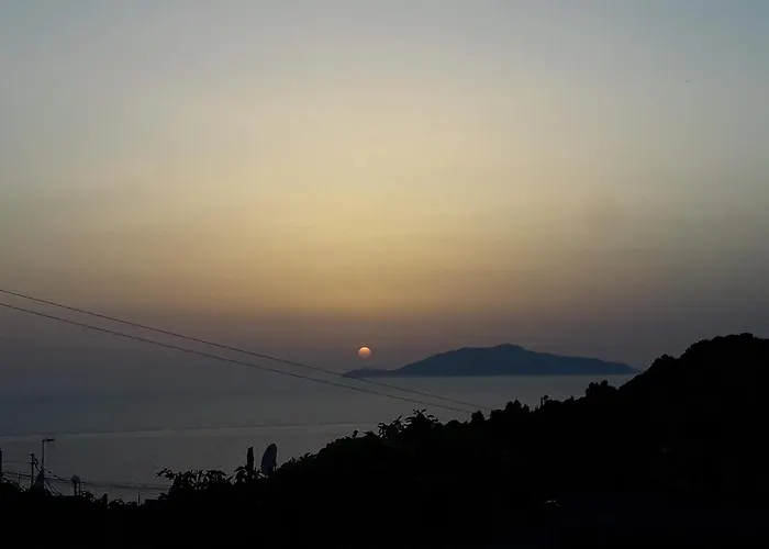 Mimosa אתר נופש