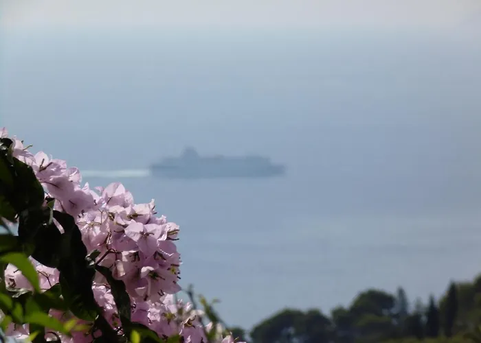 Mimosa Feriested Anacapri (Isola di Capri)