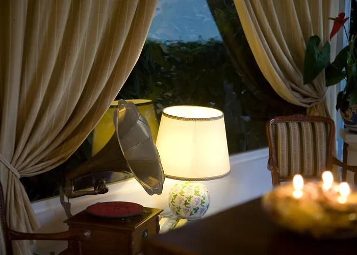 Mimosa أناكابْري