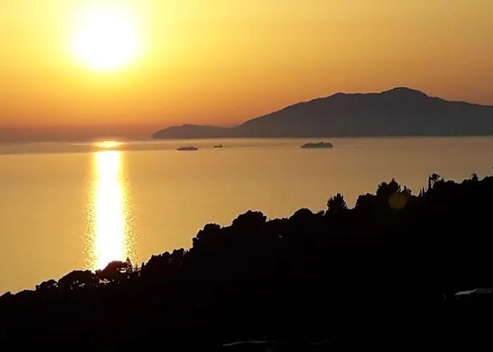 Mimosa אתר נופש