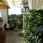 Mimosa