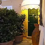 Mimosa Anacapri (Isola di Capri)