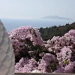 Mimosa Resort
