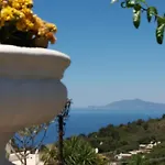 Mimosa 3*