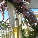 Mimosa Anacapri (Isola di Capri)