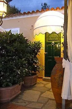 Mimosa Anacapri (Isola di Capri)