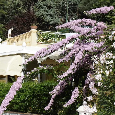 Mimosa Feriested