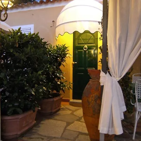 Mimosa Anacapri (Isola di Capri)